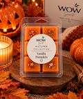 Autumn & Halloween Wax Melts | Cosy Seasonal Home Fragrance